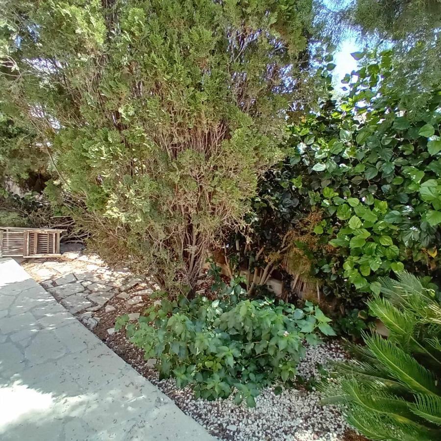 Sunset Boutique Guest House Paphos Exterior foto