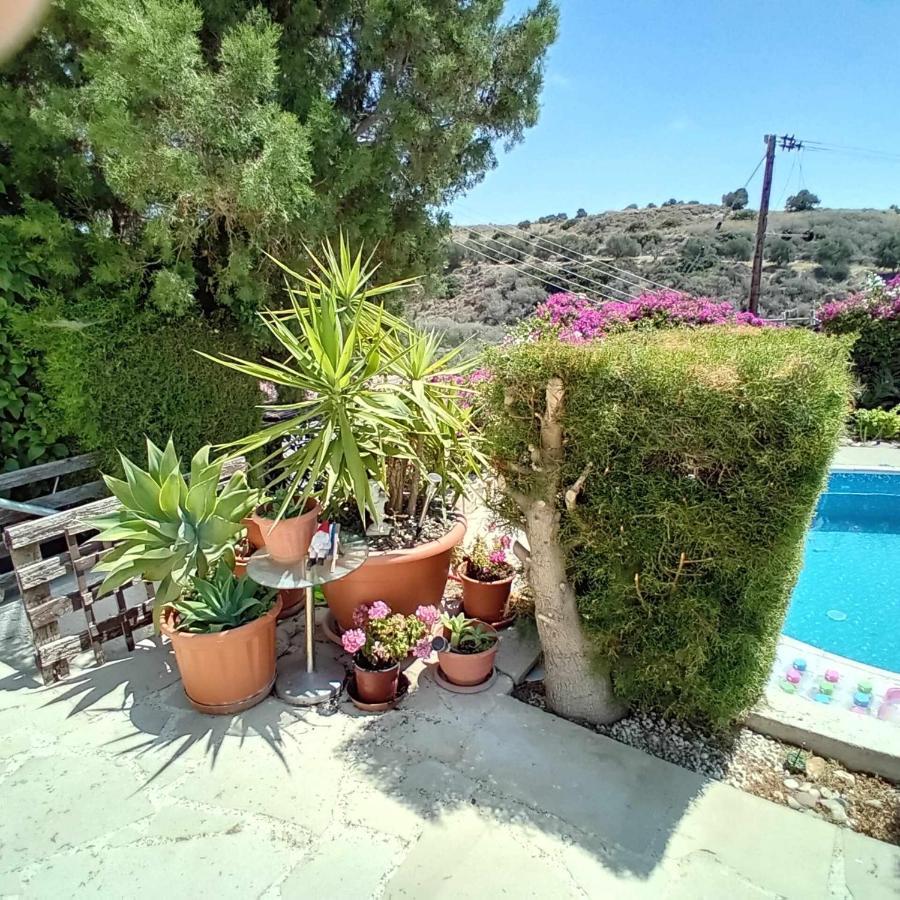 Sunset Boutique Guest House Paphos Exterior foto