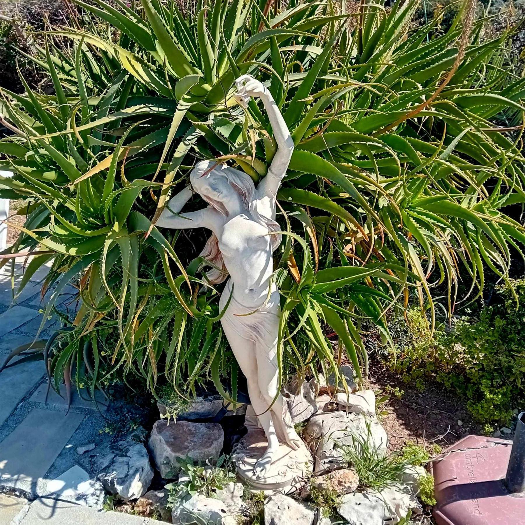 Sunset Boutique Guest House Paphos Exterior foto