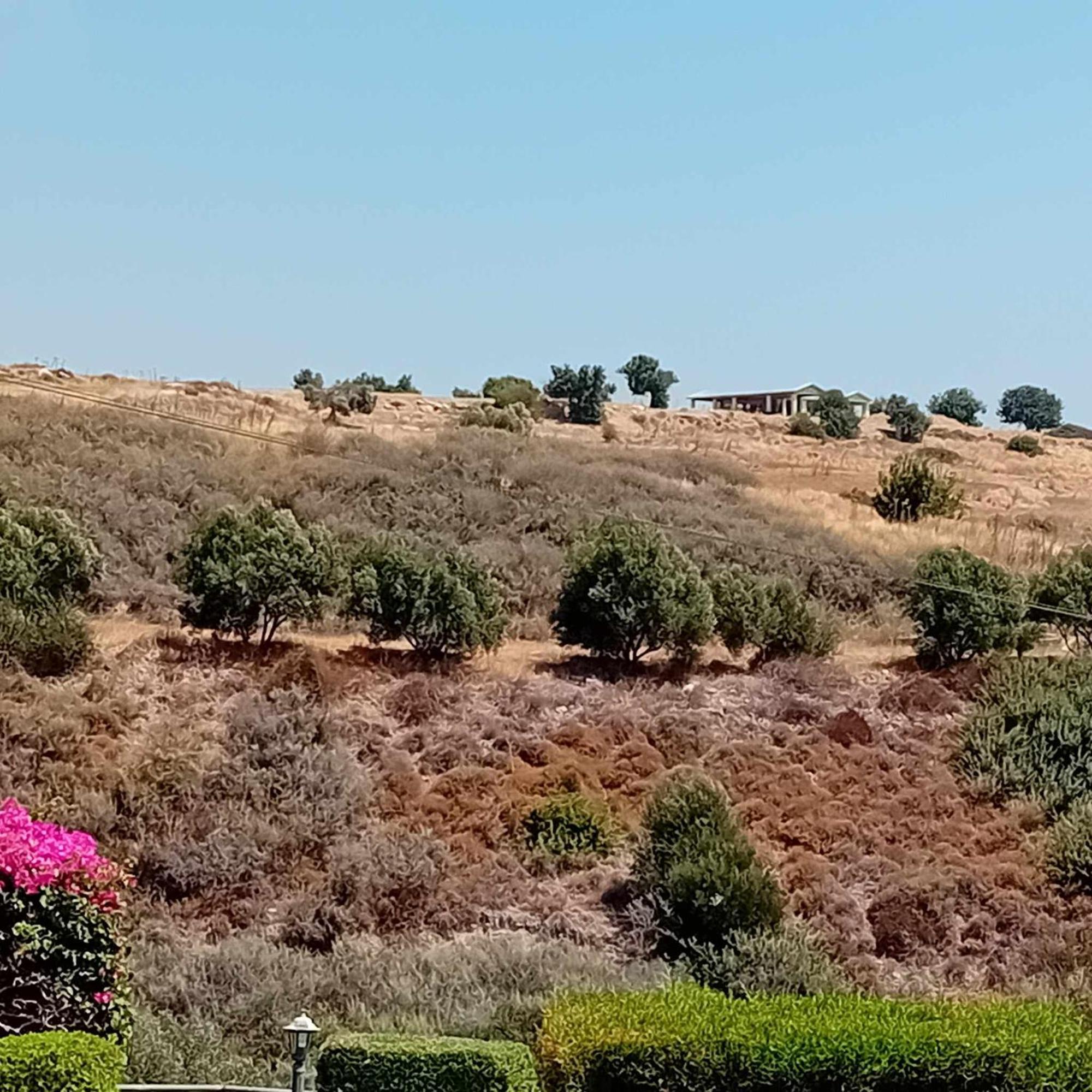 Sunset Boutique Guest House Paphos Exterior foto